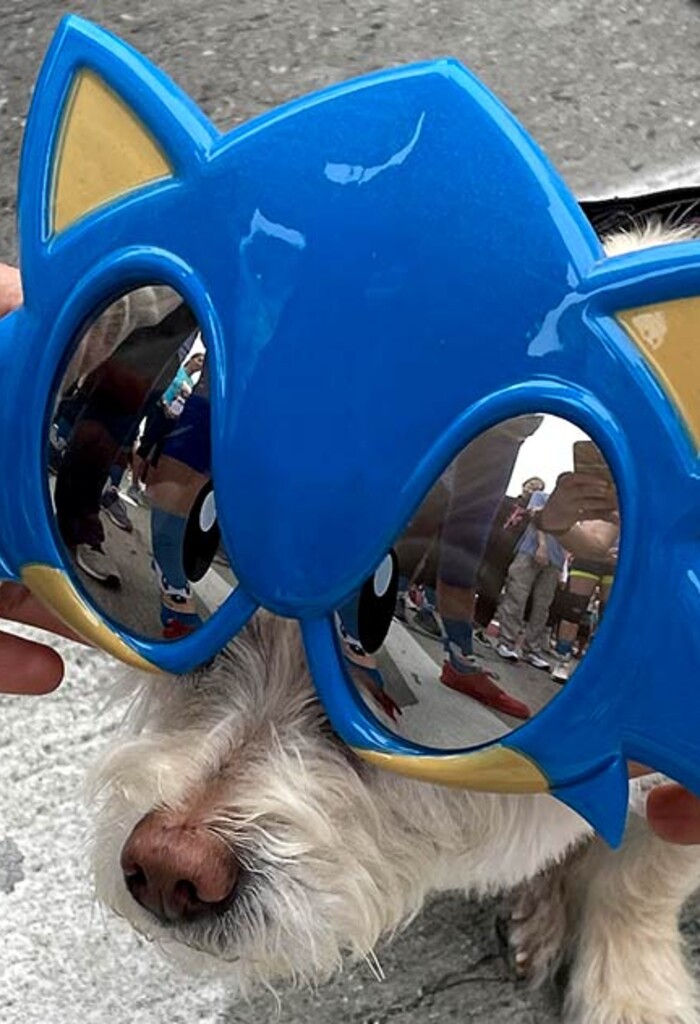 https://blur.com/media/pages/feed/blur-at-the-screenland-5k/79bf02b6d4-1752858109/blur_5k_sonic_01b-700x1024-crop.jpg